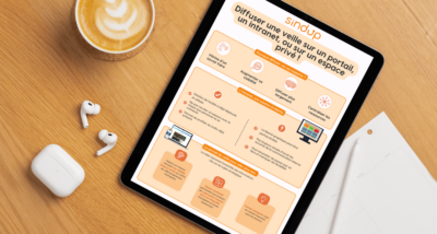 Fiche de synthèse : diffuser une veille sur un portail, un intranet, ou sur un espace privé ! fiche de synthèse intranet